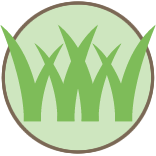 Tall Grass Mowing Pros