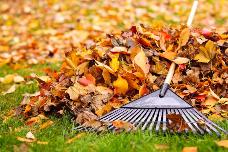 Fall Lawn Cleanup Image 1