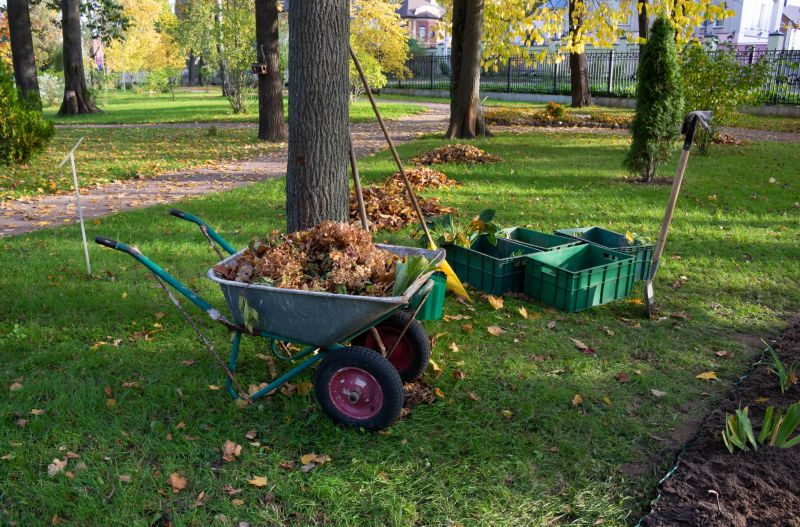 Leaf Removal Equipment