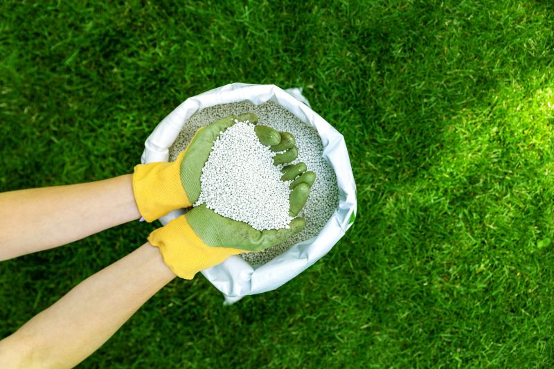 Lawn Enrichment in Ventura County, CA