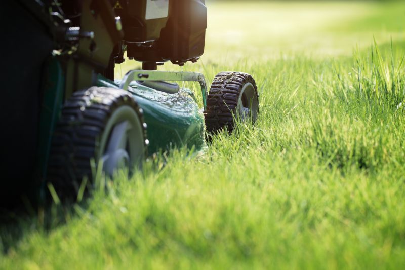 Close-up of Mowed Tall Grass