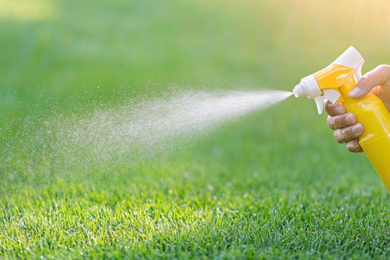 Weed Prevention Service in Rockwall, TX
