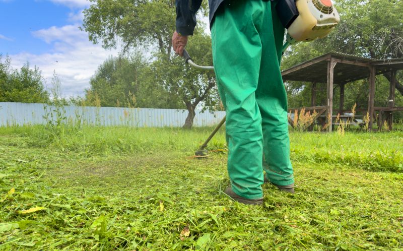 Tall Grass Mowing Service