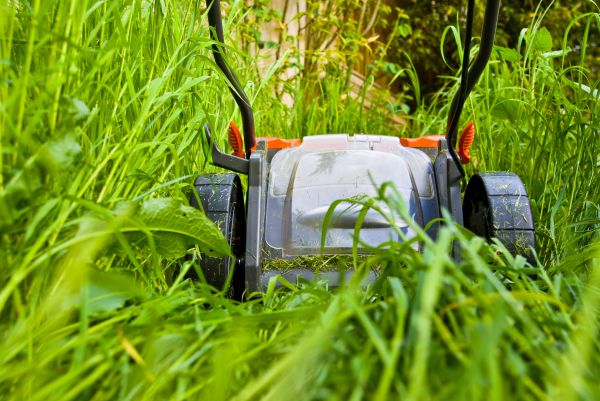 Unkept Grass Mowing - Unkept Grass Mowing Detroit, Michigan