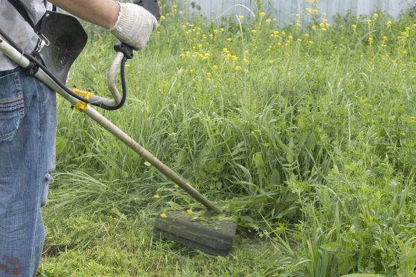 Excessive Grass Trimming - Excessive Grass Trimming Maryville, Tennessee