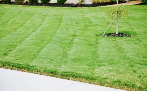 Weekly Grass Cutting - Weekly Grass Cutting Jonesboro, Georgia